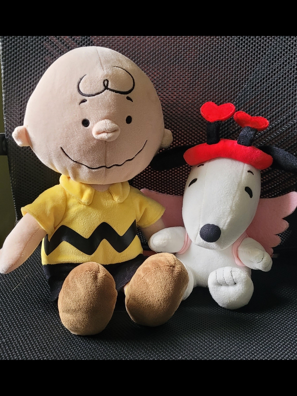 Peanuts Charlie Brown And Valentine Snoopy Duo Plush Set